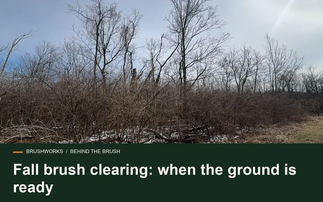 Fall brush clearing: when the ground is ready