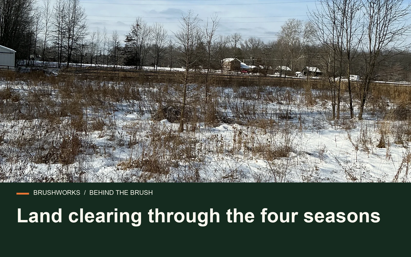 Land clearing through the four seasons — Brushworks field photography