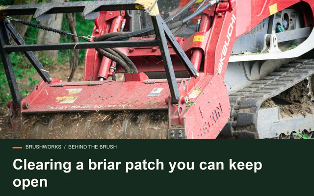 Clearing a briar patch you can keep open