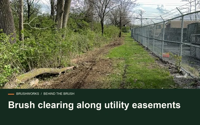 Brush clearing along utility easements