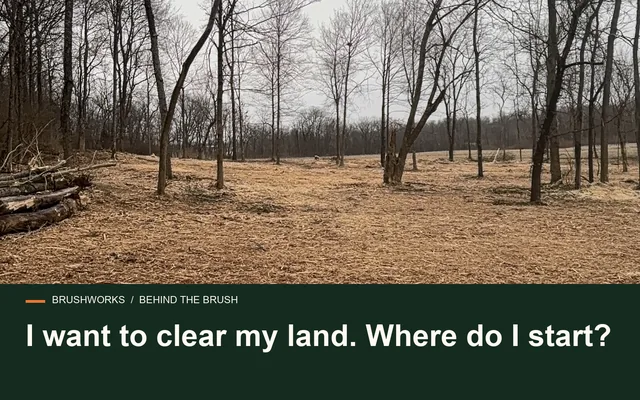 I want to clear my land. Where do I start?
