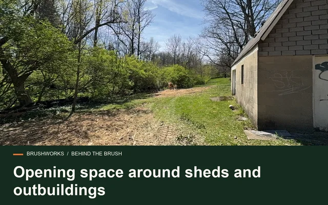 Opening space around sheds and outbuildings