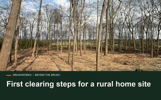 First clearing steps for a rural home site
