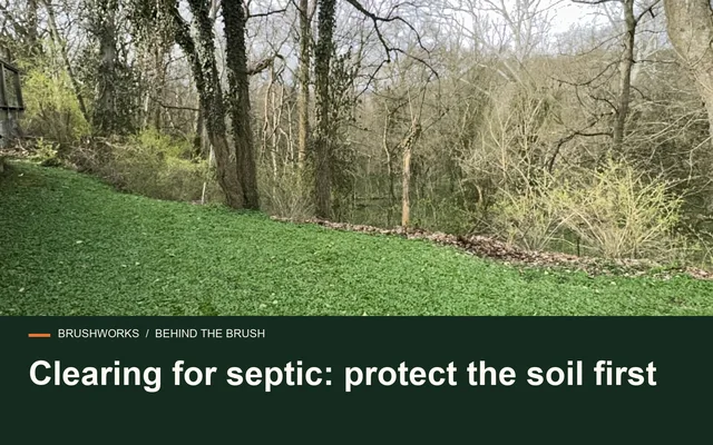 Clearing for septic: protect the soil first