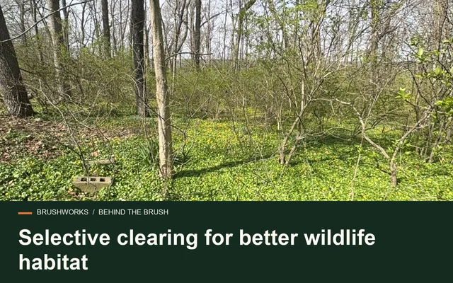 Selective clearing for better wildlife habitat
