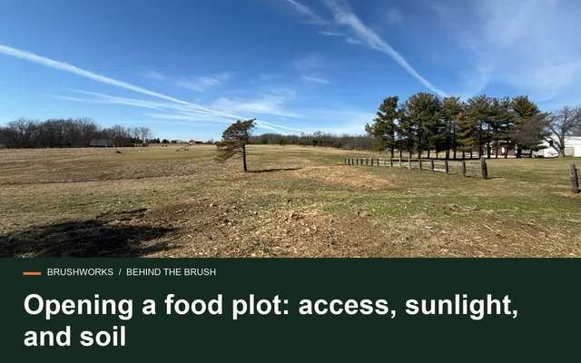 Opening a food plot: access, sunlight, and soil