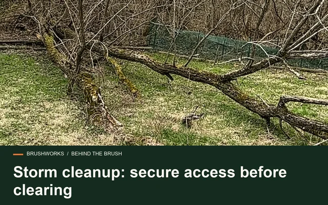 Storm cleanup: secure access before clearing