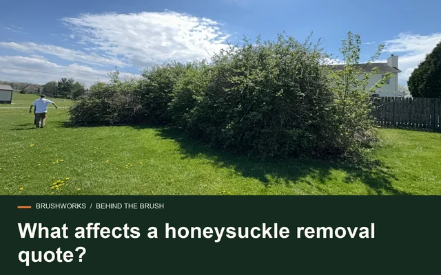 What affects a honeysuckle removal quote?