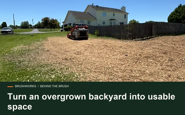 Turn an overgrown backyard into usable space