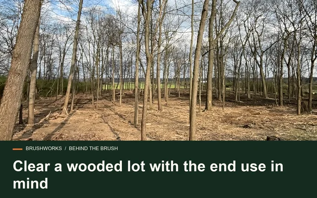 Clear a wooded lot with the end use in mind