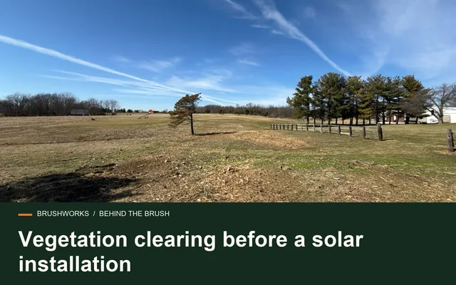 Vegetation clearing before a solar installation