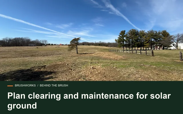 Plan clearing and maintenance for solar ground