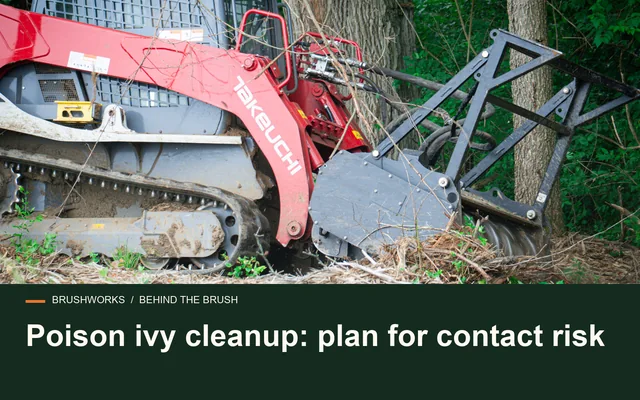 Poison ivy cleanup: plan for contact risk