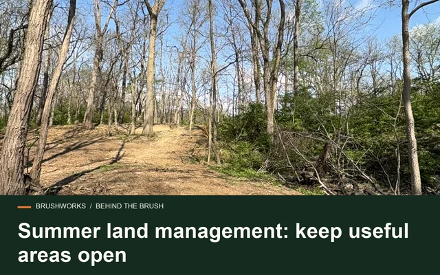 Summer land management: keep useful areas open