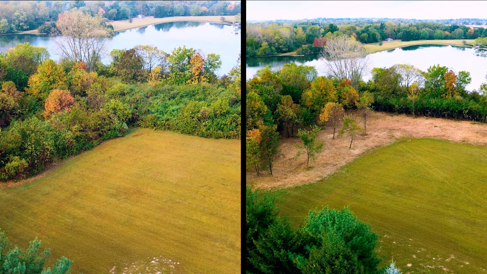 Before and after forestry mulching showing backyard expansion in Ohio