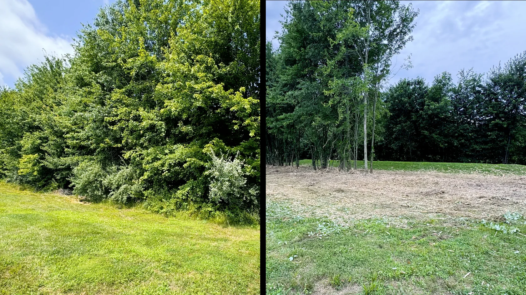 Before and after land clearing showing useable area opened up with forestry mulching