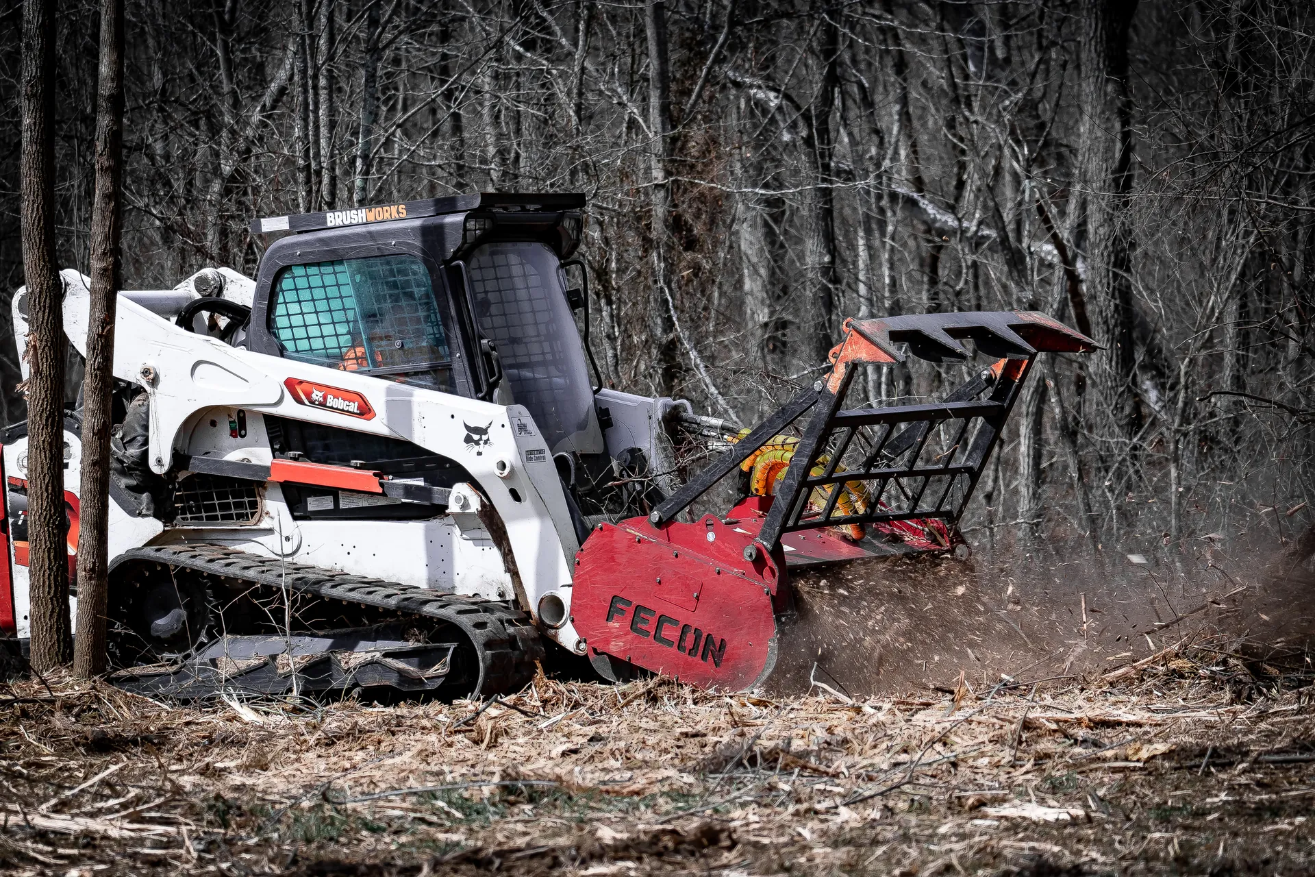 Forestry mulcher clearing overgrown land and dense vegetation