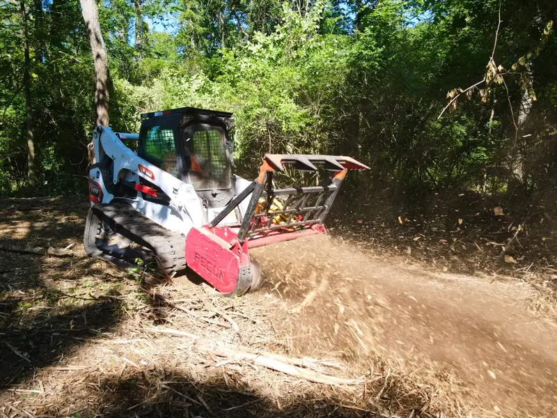 Invasive species removal service eliminating honeysuckle and restoring native ecosystems in Cincinnati, Ohio