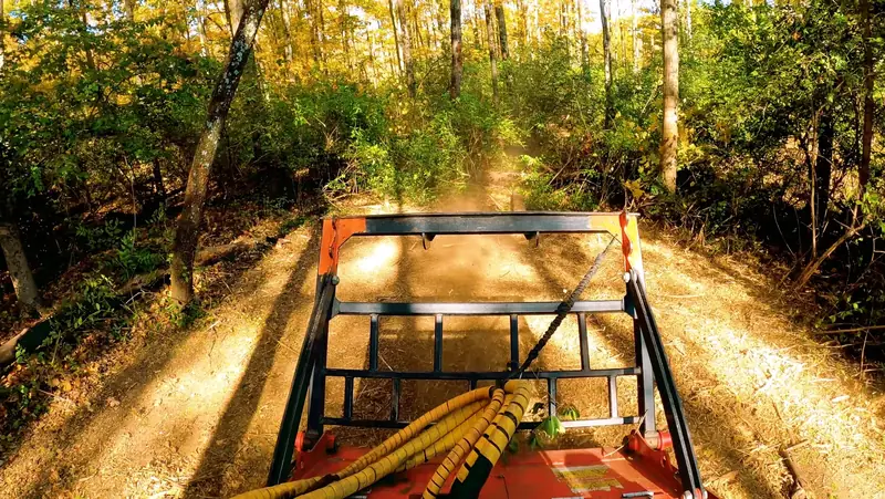 Professional trail cutting service creating clean access paths through dense woods for hunting and hiking in Cincinnati, Ohio