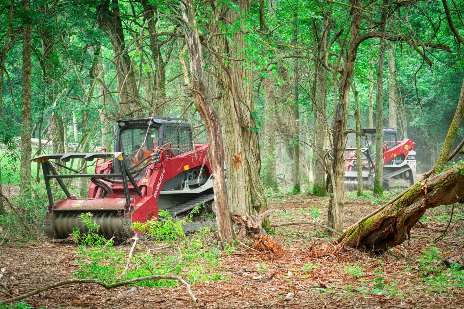 Brushworks track loaders mulching brush and saplings along a woodline