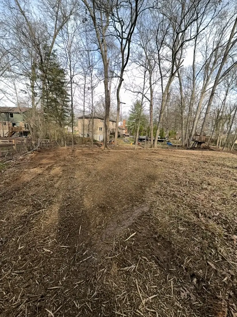 The same wooded lot right after forestry mulching, floor open and covered in mulch