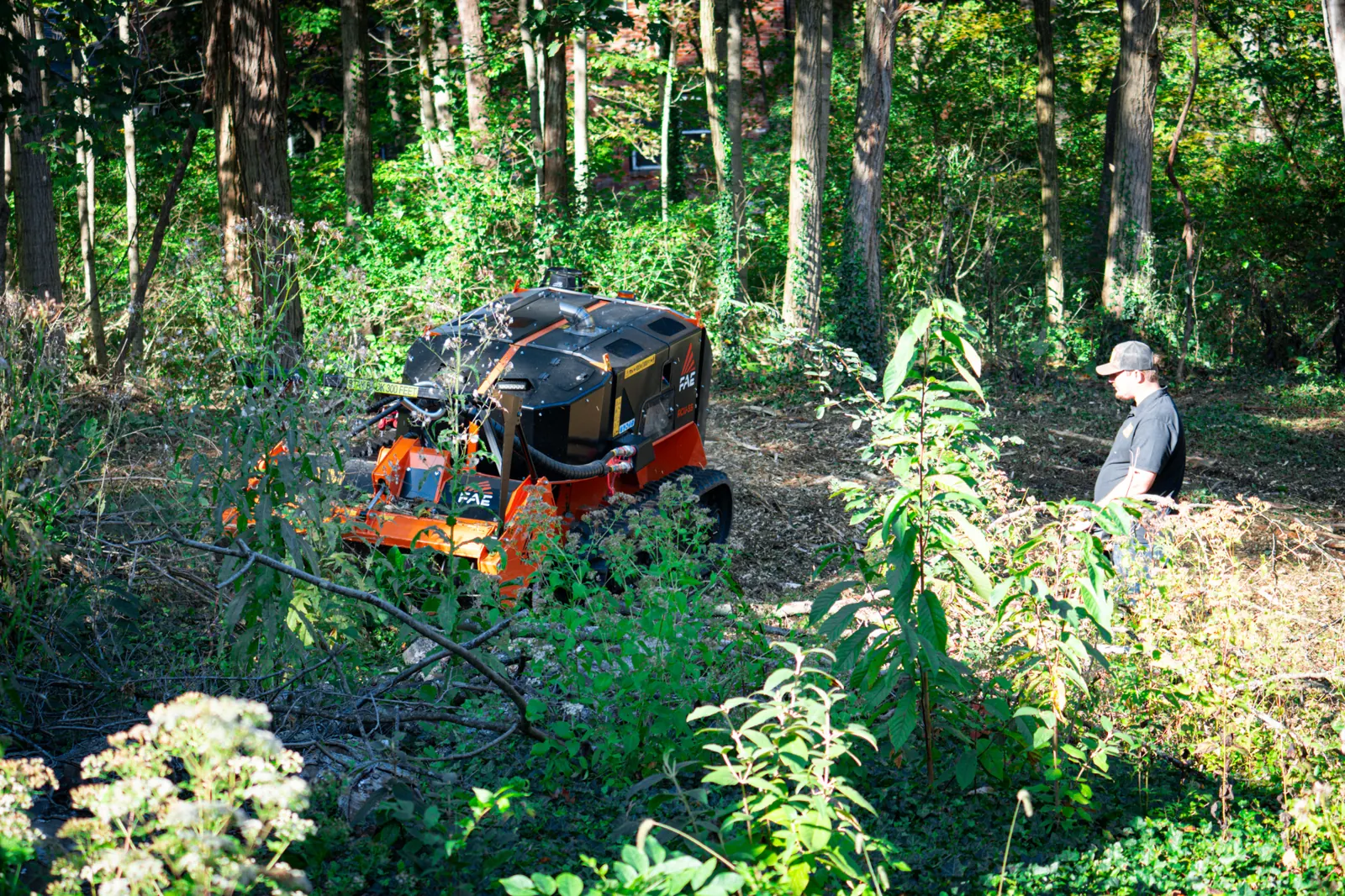 FAE RCU 55 remote-controlled mulcher working a wooded hillside with the operator behind